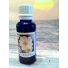 Be present Be present