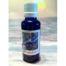 Be Comforted Be Comforted