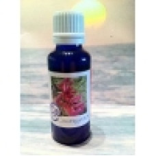 Be Courageous Be Courageous