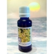 Be Focused Be Focused